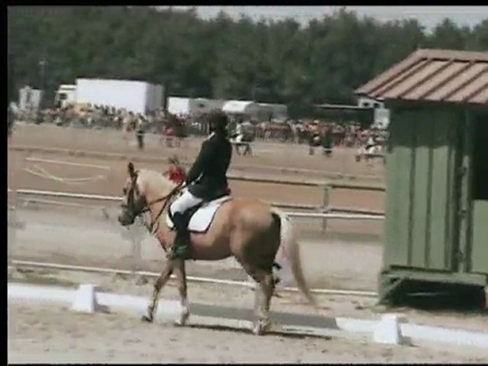 Championnat 2008 Dressage CCE D2 ponam Exellence