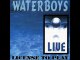 Waterboys - Crown (live)