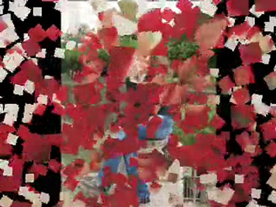 Facebook   Sarra- Nasib Ben Abdallah