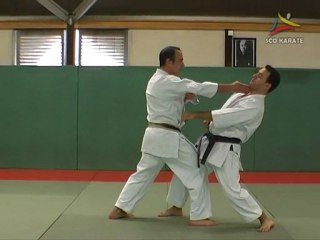 HEIAN NIDAN (Kata & Bunkai)