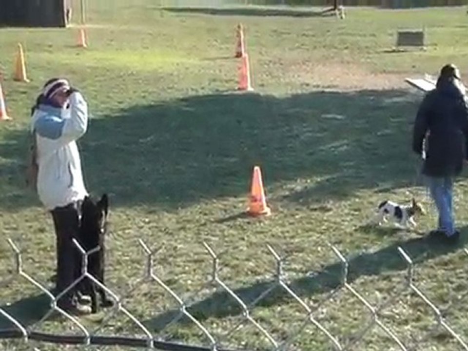 djembe assis/coucher