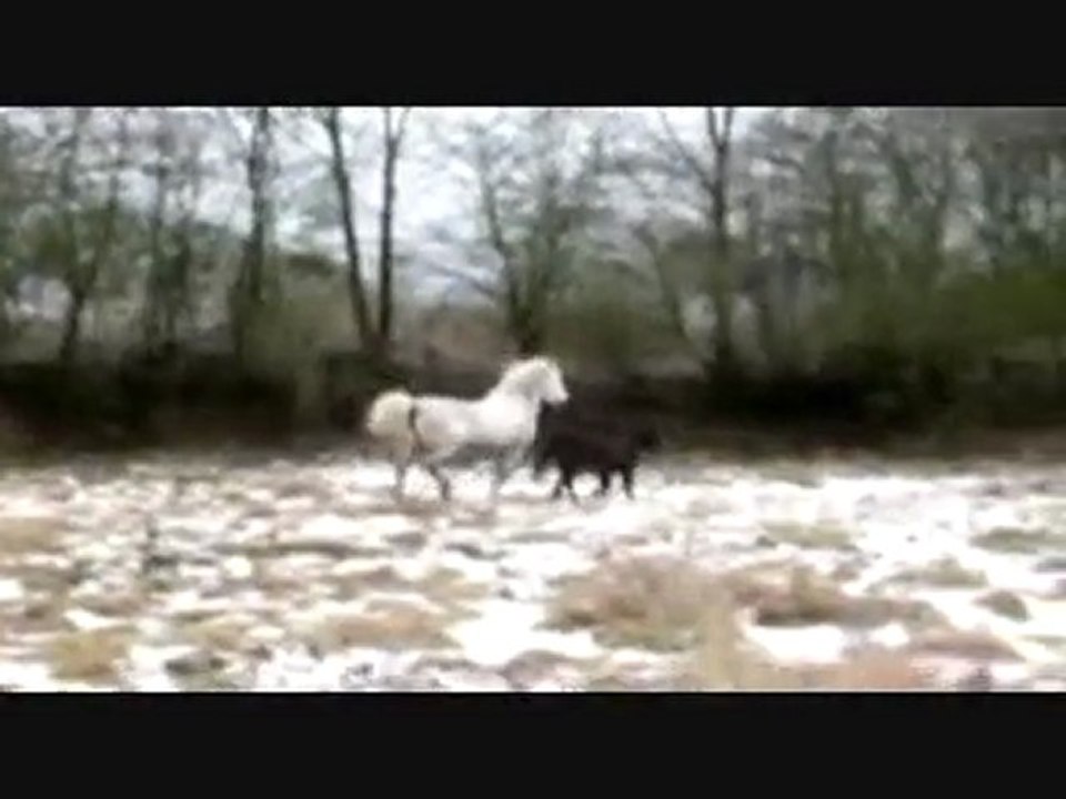 Vidéo présentation