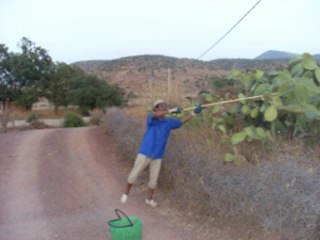 HOUCINE  AMRAKCHI (OUZIOUA) TAMARIRT74