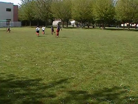 Poussins de l'ASVA 2007-2008