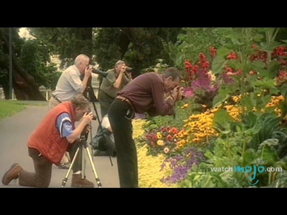 Travel to the Irish National Botanic Gardens