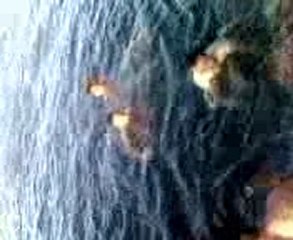 la crique rocher alger ete 2009