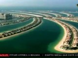 Emiratos Árabes: liberan tortuga marina vieja y gigante
