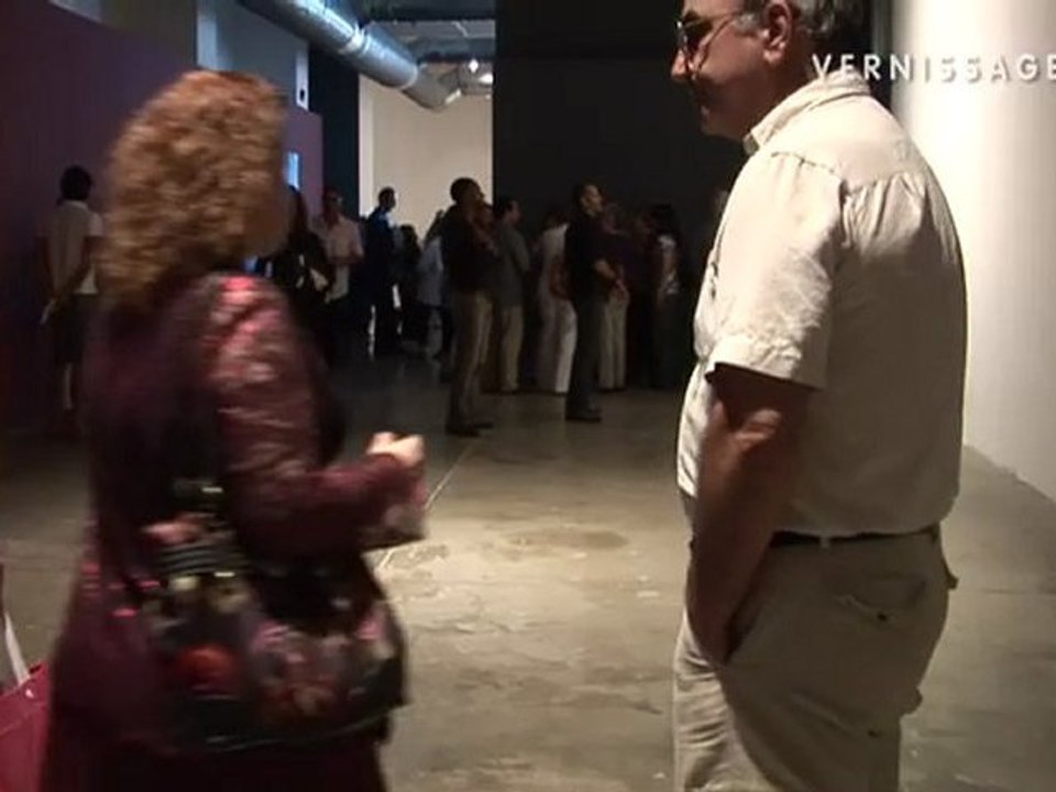 Being in the World: Selections from the Ella Fontanals-Cisneros Collection / CIFO, Miami