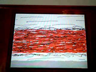DSi / Flipnote :