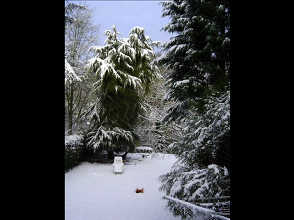 SILVER BELLS PAR PHILOU.