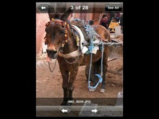 Introducing the Livedrive IPhone App