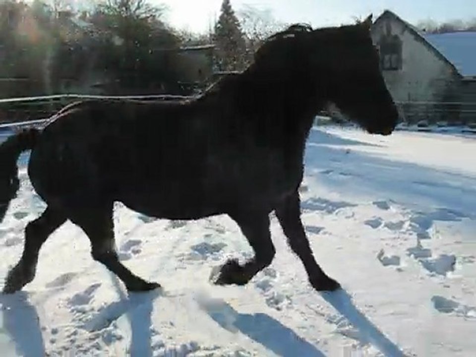 TINA DANS LA NEIGE