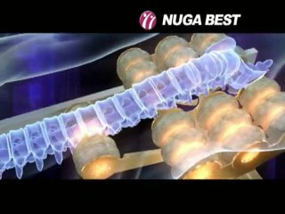 Второе сердце часть 2