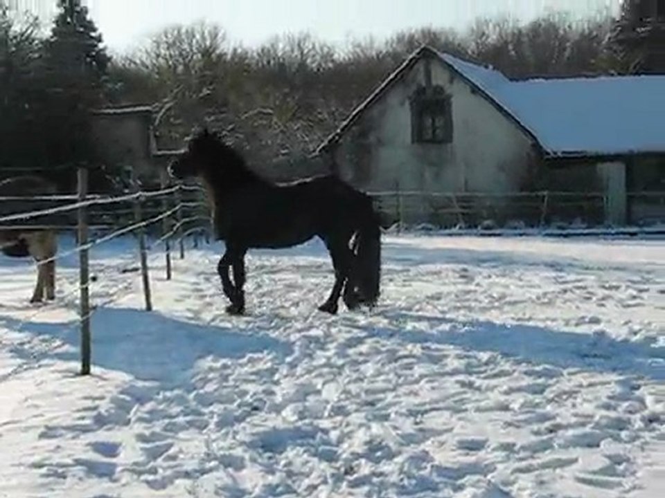 TINA DANS LA NEIGE