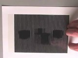 illusions d'optique animées
