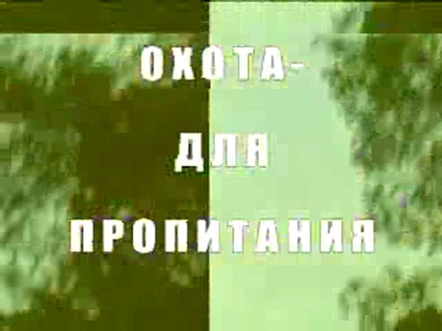 ⁣Охота для пропитания