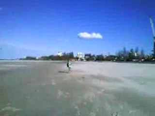 EOLO RADSAIL SAVAGE 4,5 TRACTION AILE CERF VOLANT KITE