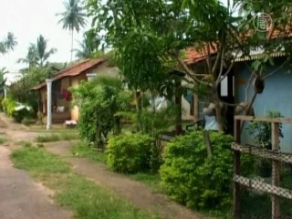 Цунами помогает оставшимся в живых в Шри-Ланке