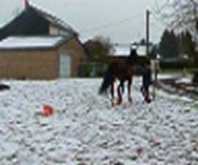 iago séance amusements