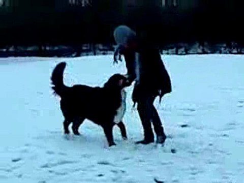 Doolly dans la neige