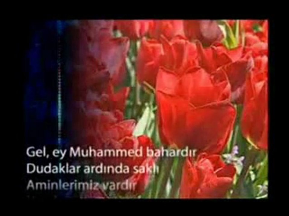 Kutlu Doğum Haftası