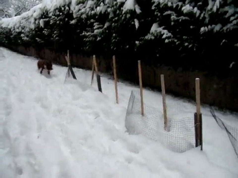 Apprentissage du slalom