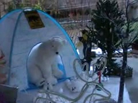 Décor Hiver 2009 - Jour