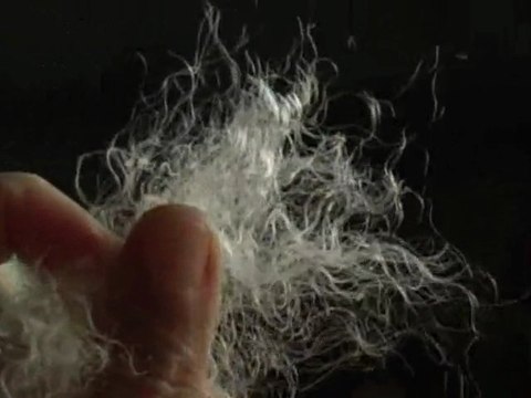 Le Mohair des Fermes de France (version courte)