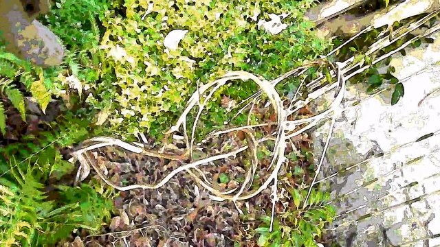 Sculptures-Vivantes _ 15 décembre 2009