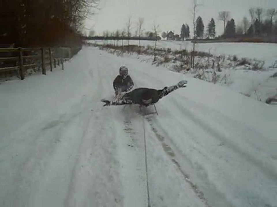 yamaha brun 350 + neige + luge :d (4)