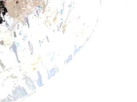 Mes 15 Marathons 2009