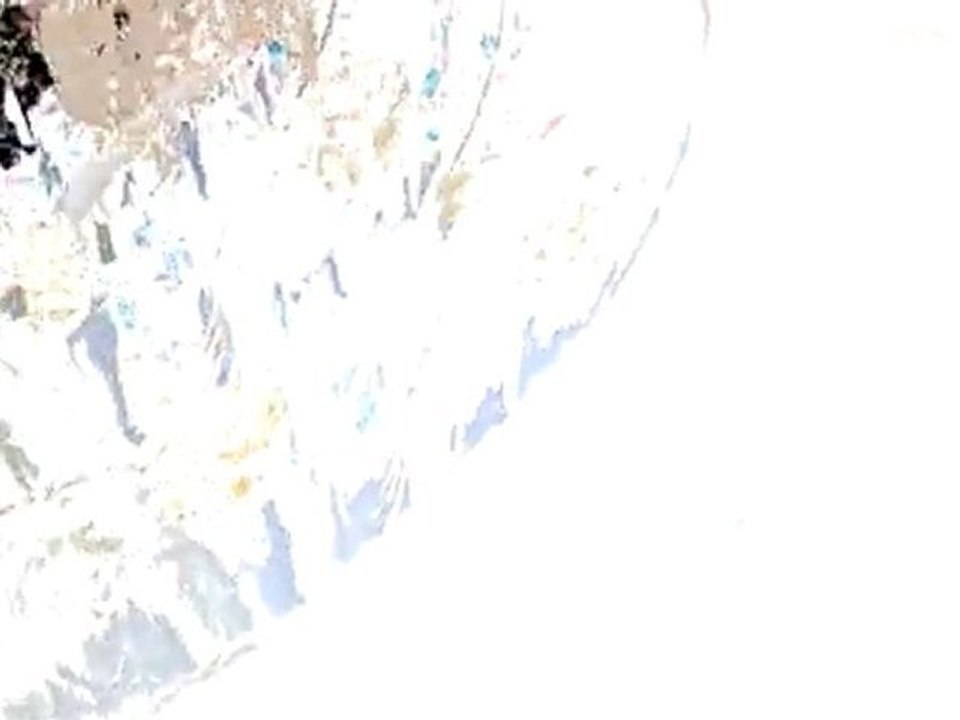 Mes 15 Marathons 2009