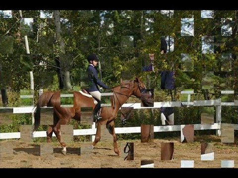 saison de concours 2009