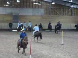 concours poney games a cherveux le 6.12.09