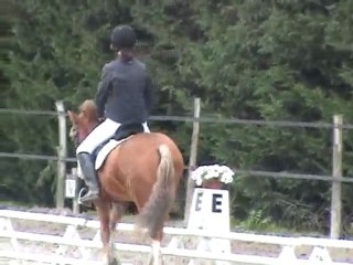 Concours de Dressage E3 à la VDR avec Quenzo