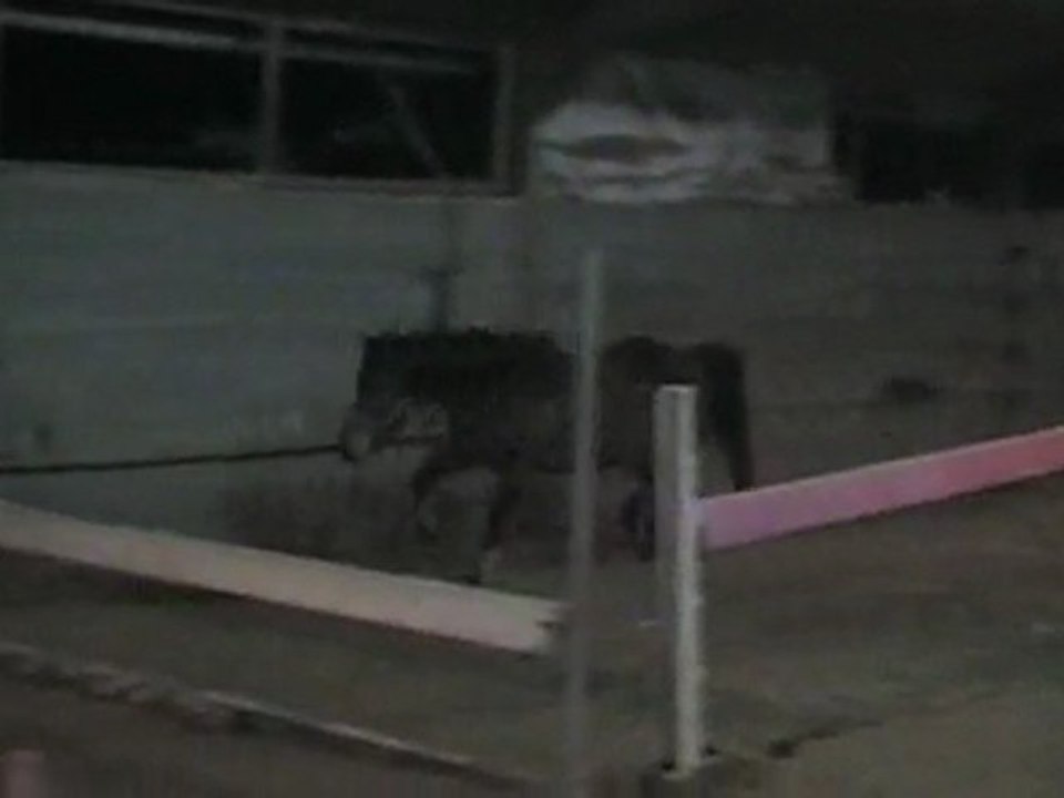 Spaguetti saut en lib 23 décembre 2009