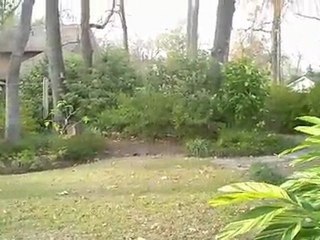 LITTLE JOYS OF CHRISTMAS GOODNESS [12/22/09] - 244