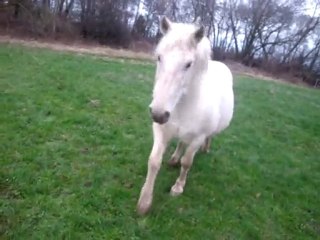 Une après midi ordinaire du beau mois de décambre 09 ..