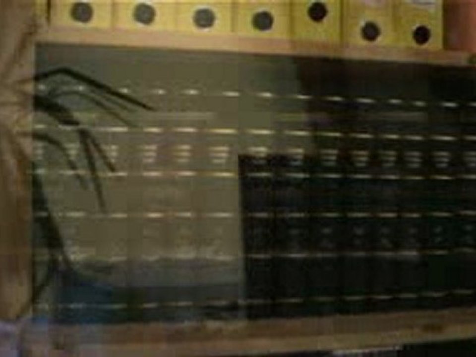 Zentrum für Beratung, Coaching & Mediation - Intro