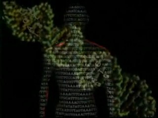 Science et Religion: Les savants prouvent la compatibilité