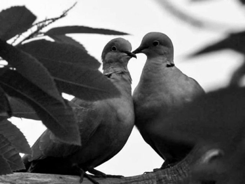 Embrasse-moi bien - Bing Crosby