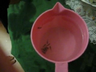 frontoza burundi kusturmak