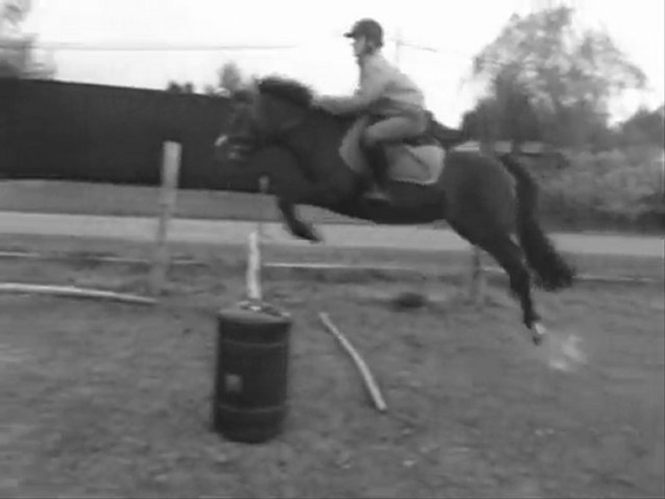 Une Ponette Merveilleuse ♥