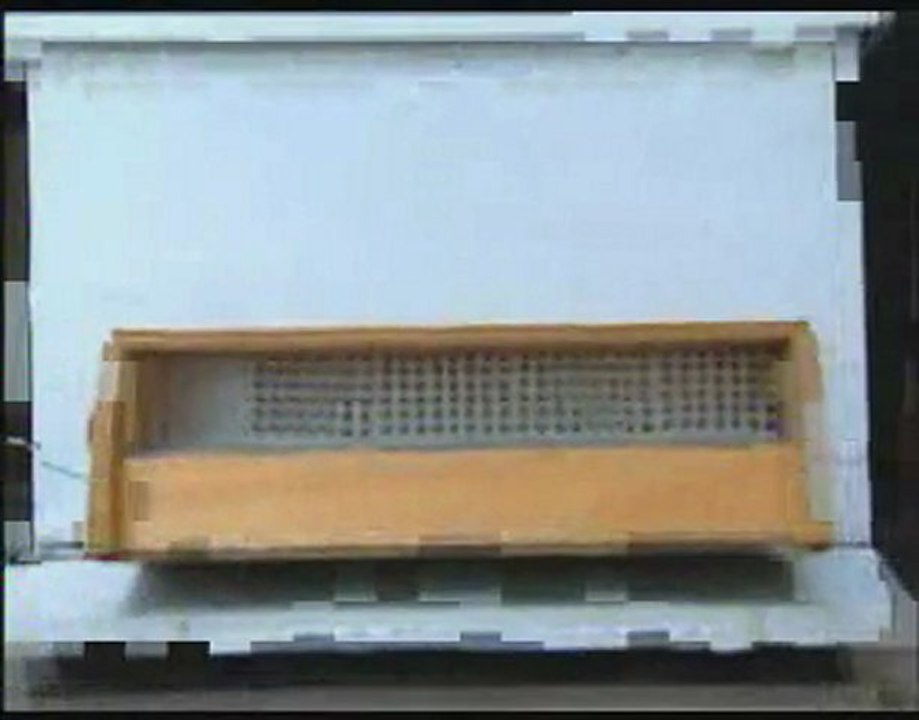 Polen üretimi ve hasadı