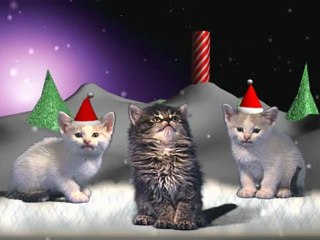Jingle Cats - Silent Night