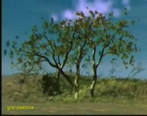 Modifier la météo, Chemtrails, Explication partielles PART 4