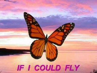 If i could fly