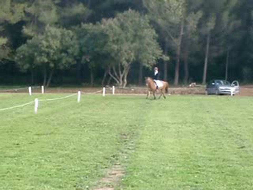 mon dressage