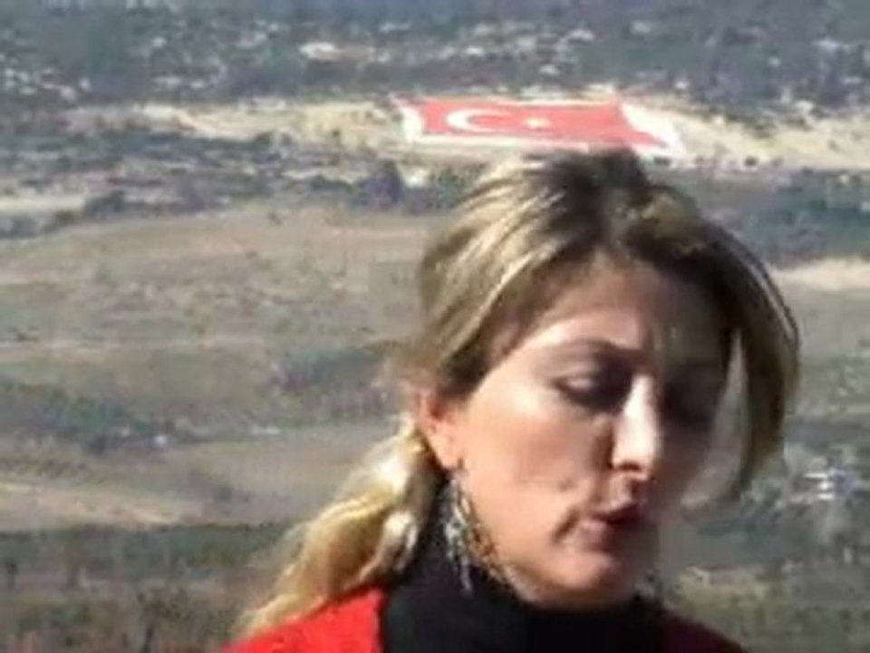 Aybüke Ayberk - Çınar Dalları -