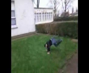 Les Cascadeurs De Retour !